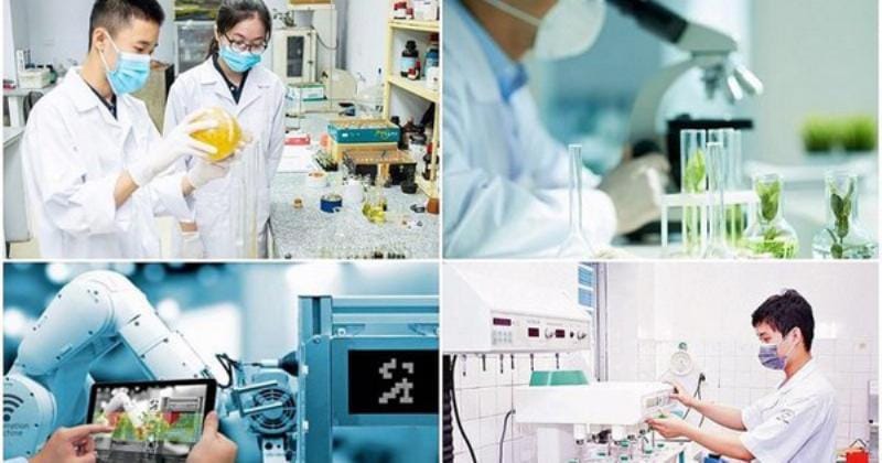 Nền tảng kiến thức vững chắc của các môn học ngành xây dựng dân dụng là yếu tố then chốt quyết định thành công của kỹ sư